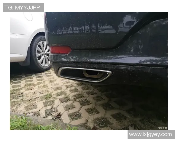 武汉攀岩队的控制揭秘：深度探讨攀岩运动的技术与心理因素